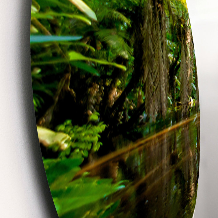 DesignArt 3 Piece Trees in Amazon Jungle Wall Décor Set Wayfair